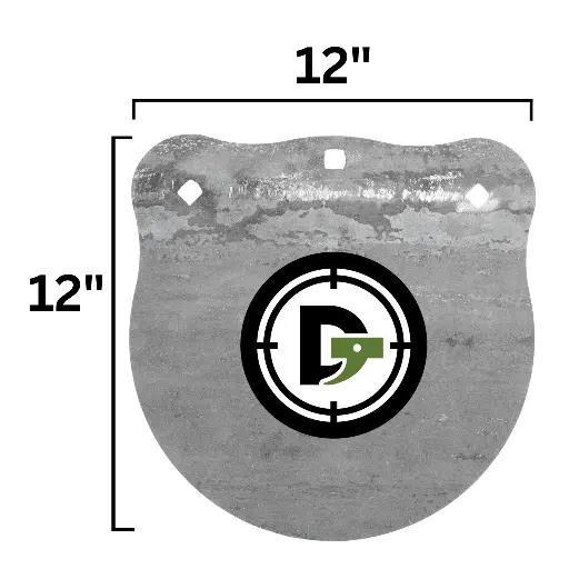 12in Steel Gong